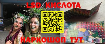 стаф Кимры