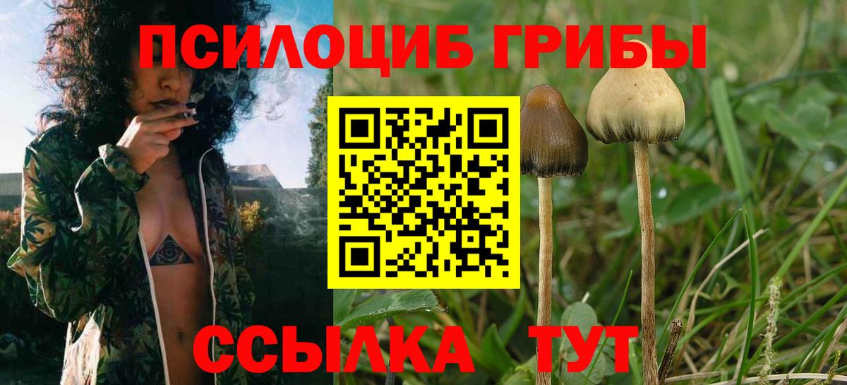 Галлюциногенные грибы Magic Shrooms  Вход с VPN  Псилоцибиновые грибы прущие грибы  Шелехов 
